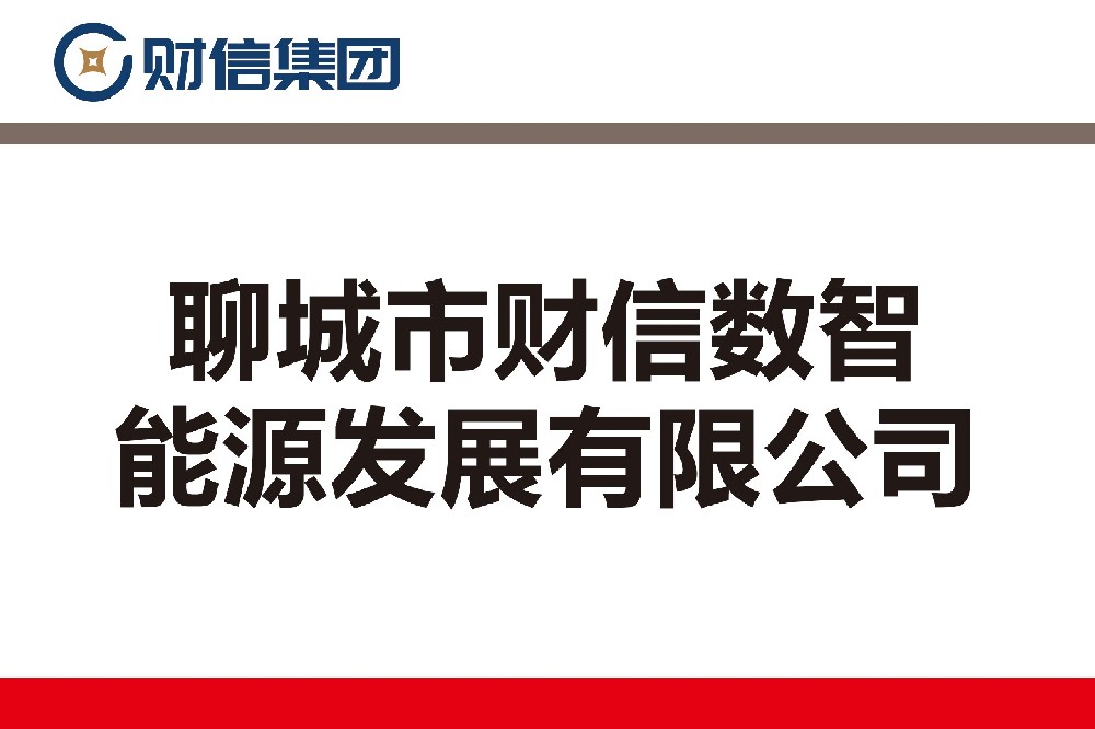 聊城市財(cái)信數(shù)智能源發(fā)展有限公司